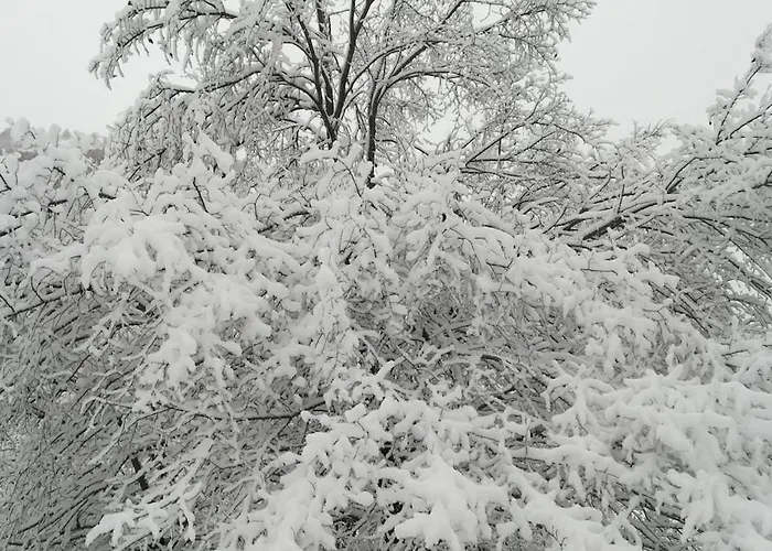 Holiday home Cap Du Hautacam